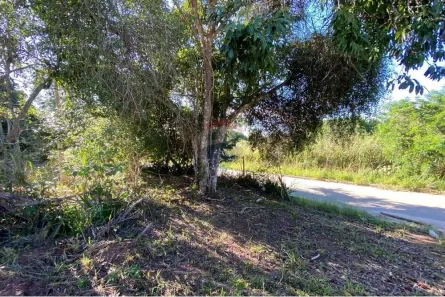 Terreno / Lote / Condomínio à venda, 364m² no Armação dos Búzios, Armação dos Búzios