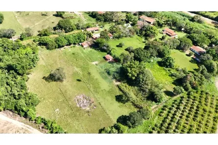 Fazenda / Sítio / Chácara à venda, 6500m² no Condomínio Rural Colméia, Jaguariúna