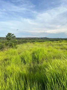 Fazenda / Sítio / Chácara com 2 Quartos à venda, 4985000m² no , Ponte Alta do Tocantins
