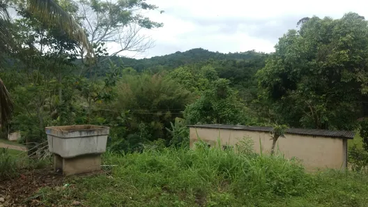 Fazenda / Sítio / Chácara com 2 Quartos à venda, 11000m² no Barreira (Bacaxá), Saquarema