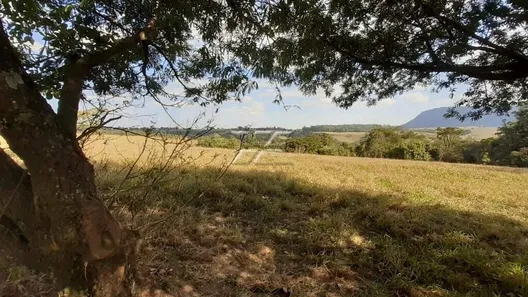 Fazenda / Sítio / Chácara à venda, 40753m² no Centro, Ipeúna