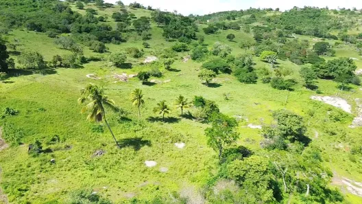 Fazenda / Sítio / Chácara com 2 Quartos à venda, 92000m² no Área Rural de Gravatá, Gravatá