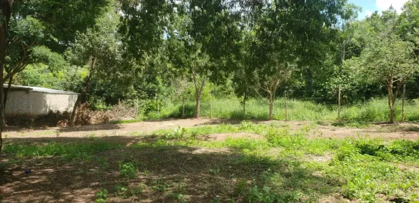 Fazenda / Sítio / Chácara com 3 Quartos à venda, 3000m² no Caracóis de Baixo, Esmeraldas