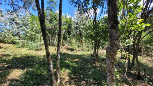 Terreno / Lote / Condomínio à venda, 63000m² no Jardim da Colina, Campina Grande do Sul