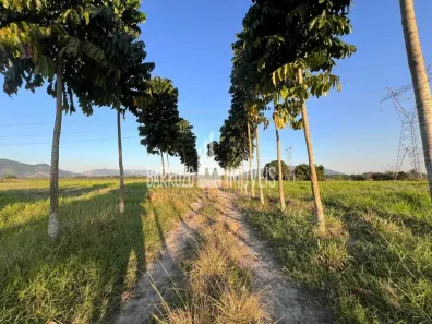 Fazenda / Sítio / Chácara com 3 Quartos à venda, 450000m² no Papucaia, Cachoeiras de Macacu