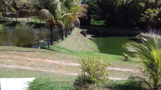 Fazenda / Sítio / Chácara com 2 Quartos para alugar, 350m² no Parque Serra Dourada, Marília