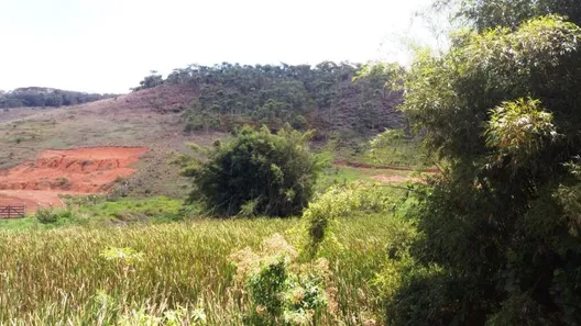 Fazenda / Sítio / Chácara com 1 Quarto à venda, 12700m² no Área Rural de Viçosa, Viçosa