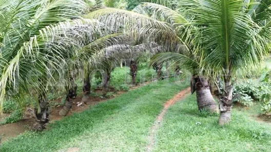 Fazenda / Sítio / Chácara à venda, 5000m² no Dorândia, Barra do Piraí