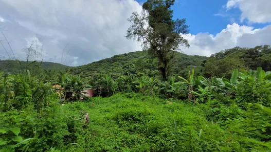 Terreno / Lote / Condomínio à venda, 20000m² no Pacoti, Pacoti