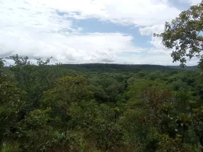 Fazenda / Sítio / Chácara à venda, 233m² no Centro, Rio Sono