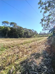 Fazenda / Sítio / Chácara à venda, 12700m² no Restinga Seca, Almirante Tamandaré