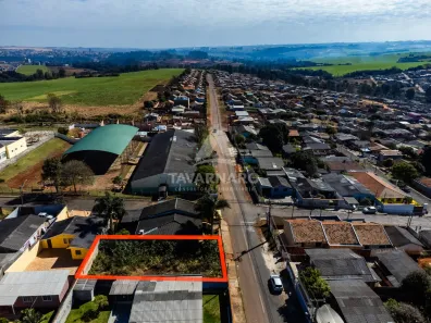 Terreno / Lote / Condomínio à venda, 300m² no Neves, Ponta Grossa