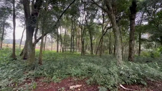 Fazenda / Sítio / Chácara com 1 Quarto à venda, 1000m² no Cataratas, Foz do Iguaçu