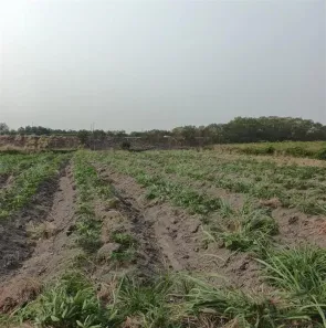 Fazenda / Sítio / Chácara à venda, 65000m² no Santa Cruz, Rio de Janeiro