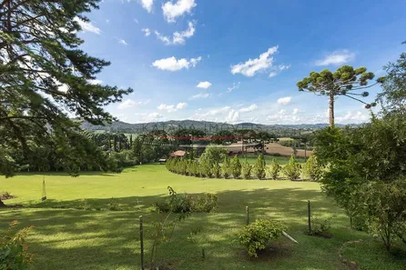 Fazenda / Sítio / Chácara com 4 Quartos à venda, 1140m² no Botiatuba, Almirante Tamandaré