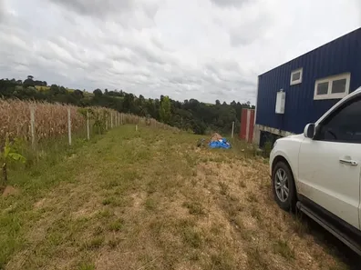 Fazenda / Sítio / Chácara com 2 Quartos à venda, 20000m² no Centro, Araucária