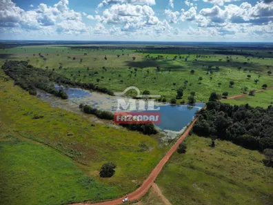 Fazenda / Sítio / Chácara à venda, 27646080m² no , Pium