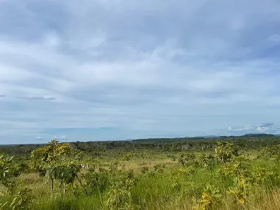 Fazenda / Sítio / Chácara à venda, 7332600m² no , Santa Maria do Tocantins