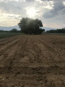 Terreno / Lote / Condomínio à venda, 1000m² no Saboó, São Roque