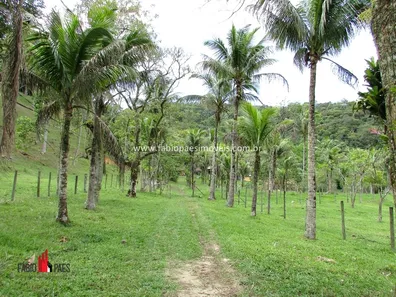 Fazenda / Sítio / Chácara com 6 Quartos à venda, 150000m² no Funchal, Cachoeiras de Macacu