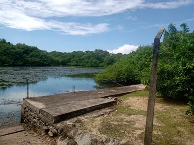 Casa com 4 Quartos para venda ou aluguel, 250m² no Barra de Jangada, Jaboatão dos Guararapes