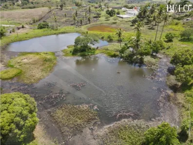 Fazenda / Sítio / Chácara com 8 Quartos à venda, 100000m² no Matriz, Vitória de Santo Antão