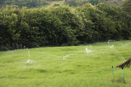 Fazenda / Sítio / Chácara à venda, 350000m² no Centro, Chã Grande