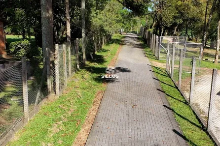 Fazenda / Sítio / Chácara com 2 Quartos à venda, 90m² no Fazendinha, Campo Largo