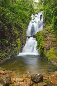 Fazenda / Sítio / Chácara com 3 Quartos à venda, 80000m² no Visconde de Mauá, Resende