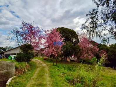 Terreno / Lote / Condomínio à venda, 100170m² no , Contenda