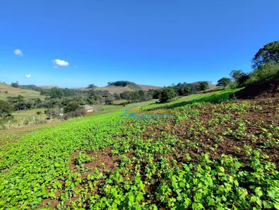 Fazenda / Sítio / Chácara com 5 Quartos à venda, 140360m² no , Guaraniaçu