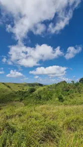 Fazenda / Sítio / Chácara com 2 Quartos à venda, 1000m² no Saboó, São Roque