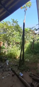 Fazenda / Sítio / Chácara com 2 Quartos à venda, 2000m² no Chácaras Vale das Andorinhas, Novo Gama
