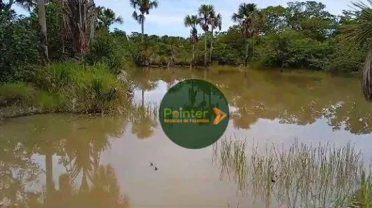 Fazenda / Sítio / Chácara à venda, 4410450m² no , Ponte Alta do Tocantins