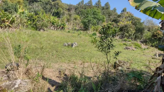 Fazenda / Sítio / Chácara com 1 Quarto à venda, 6800m² no , Piedade
