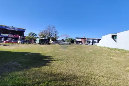 Loja / Salão / Ponto Comercial para alugar, 1606m² no Cascavel Velho, Cascavel