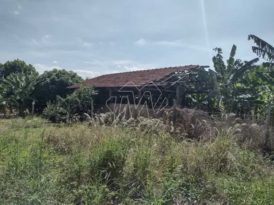 Terreno / Lote / Condomínio para venda ou aluguel, 3698m² no Jardim Paulistano (Vila Xavier), Araraquara
