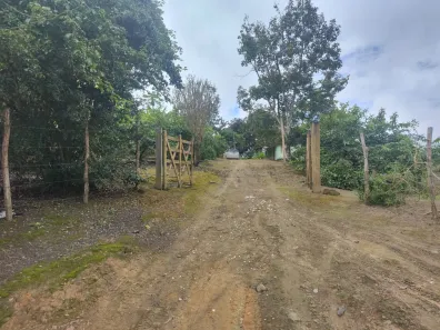 Fazenda / Sítio / Chácara com 3 Quartos à venda, 80000m² no Alpes Suiços, Gravatá