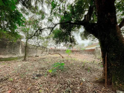 Terreno / Lote / Condomínio à venda, 1279m² no Vila Couto, Cubatão