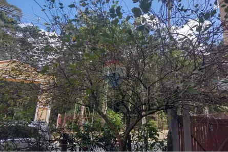 Casa com 3 Quartos à venda, 360m² no Centro, Bom Jardim