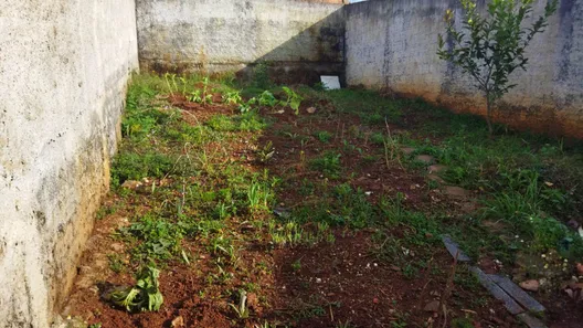 Casa com 2 Quartos à venda, 43m² no Rio Branco do Sul, Rio Branco do Sul