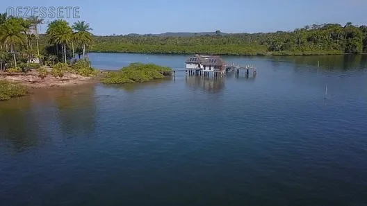 Fazenda / Sítio / Chácara com 4 Quartos à venda, 900m² no , Saubara