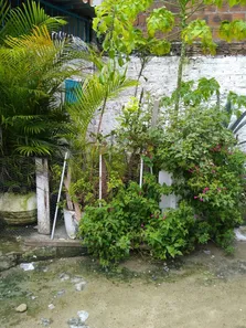 Casa com 3 Quartos à venda, 200m² no Curado, Jaboatão dos Guararapes