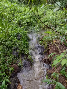 Terreno / Lote / Condomínio à venda, 20000m² no , Fortuna de Minas