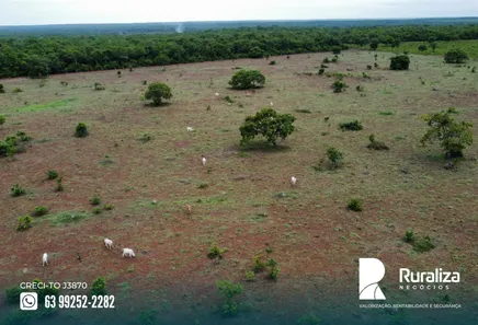 Fazenda / Sítio / Chácara à venda, 600m² no , Pium