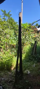 Fazenda / Sítio / Chácara com 2 Quartos à venda, 2000m² no Chácaras Vale das Andorinhas, Novo Gama
