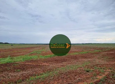 Fazenda / Sítio / Chácara à venda, 9937125m² no , Pedro Afonso