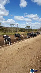 Terreno / Lote / Condomínio à venda, 141m² no Centro, Alexânia