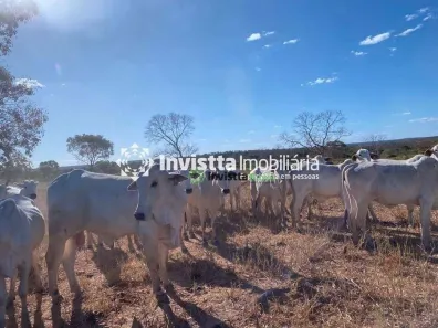 Fazenda / Sítio / Chácara à venda, 678m² no Centro, Cristalândia
