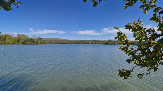 Fazenda / Sítio / Chácara à venda, 10933542m² no , Paranã